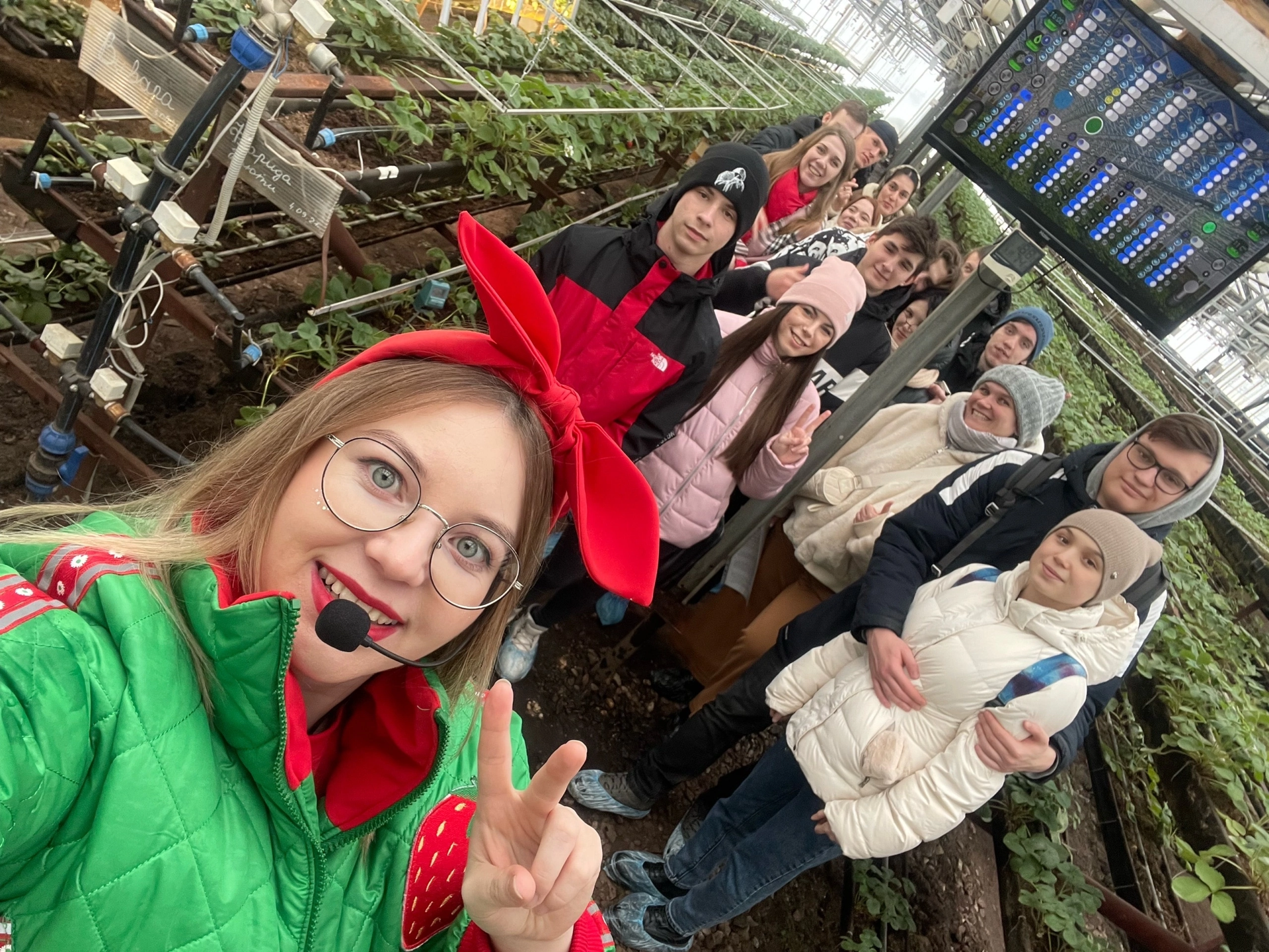 Кострома: клубничное хозяйство