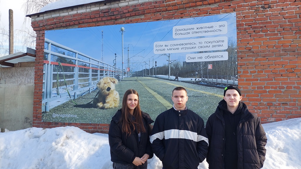 Владимир: волонтеры