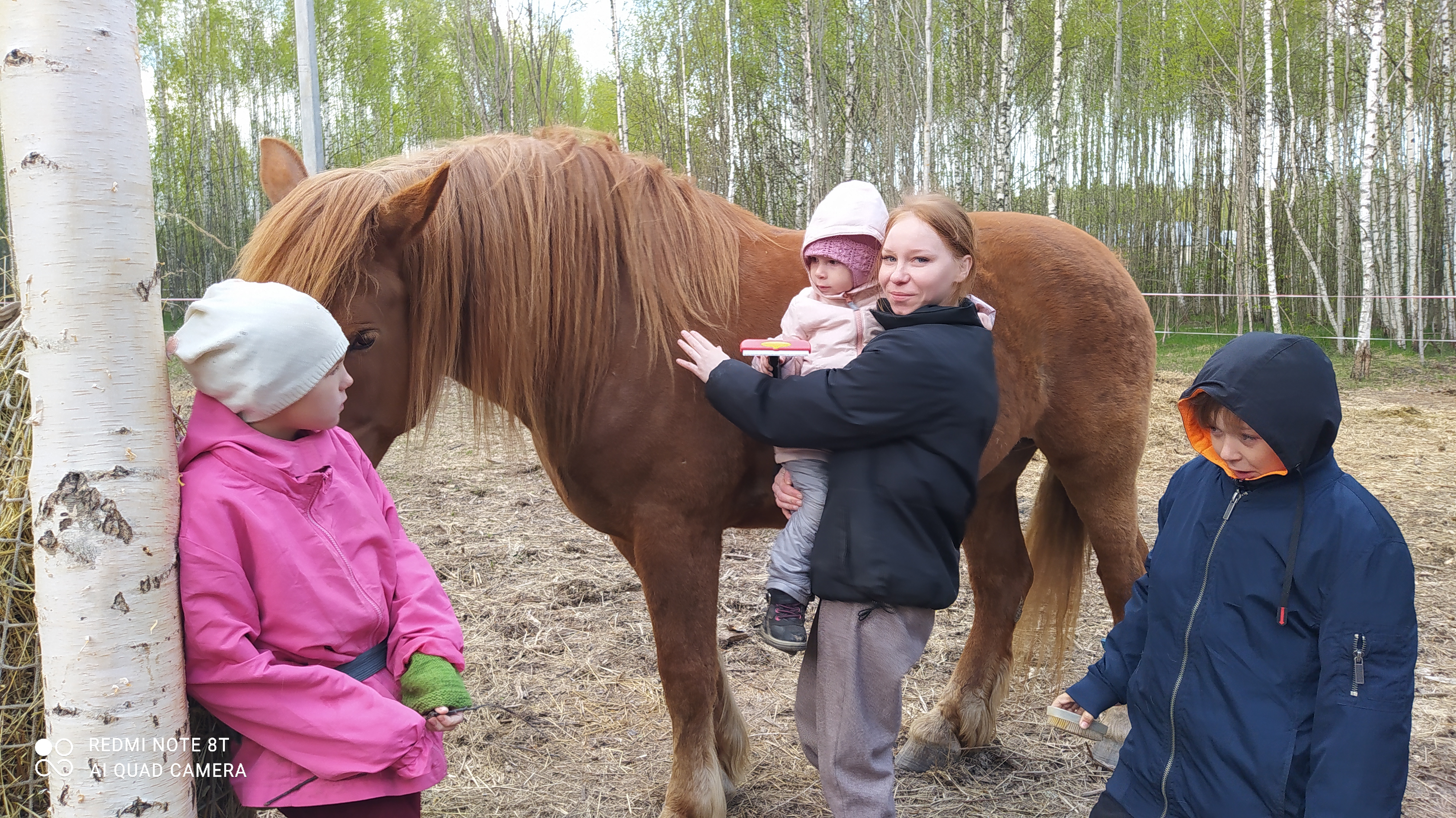 Кострома: в конном клубе