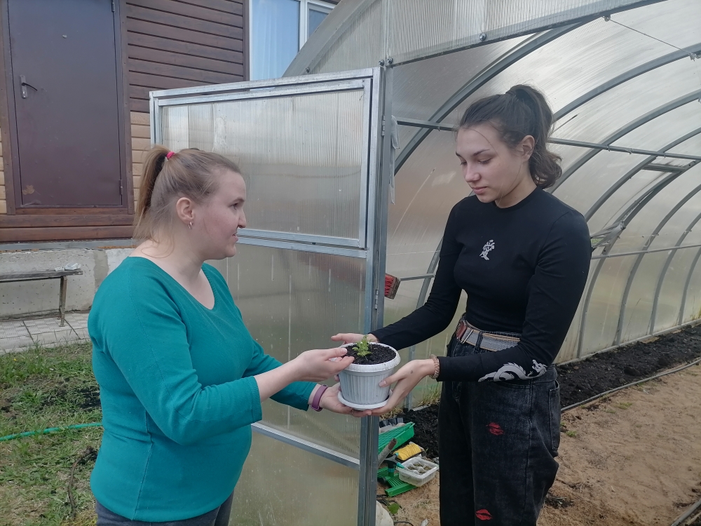 Иваново: работа кипит