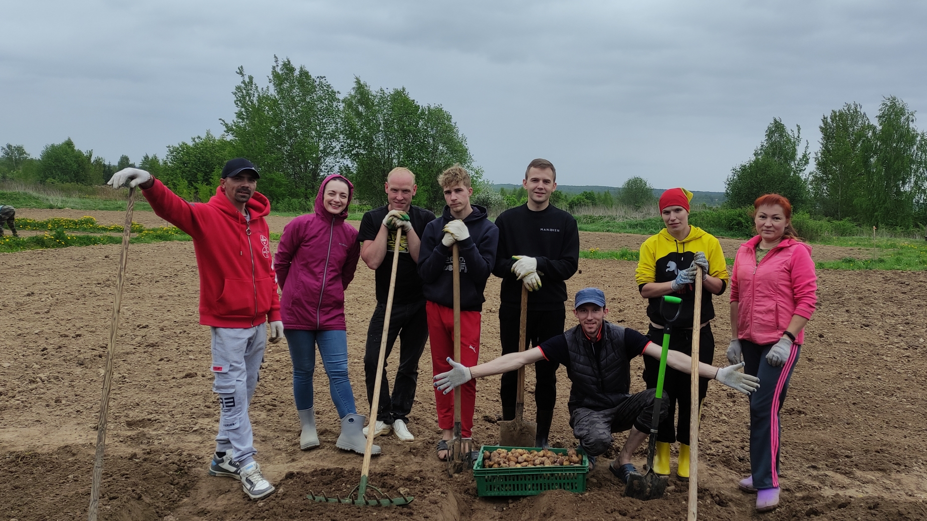 Кострома: сажаем картофель