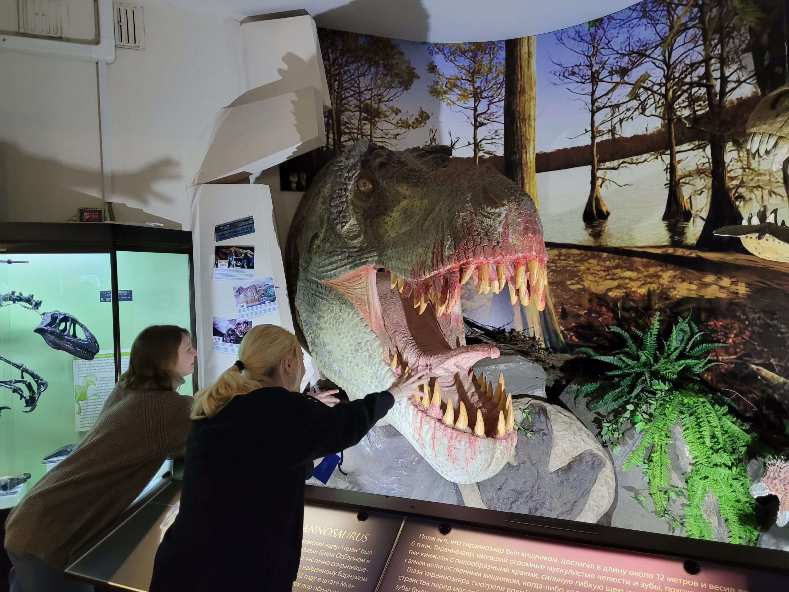 Киров: древний мир