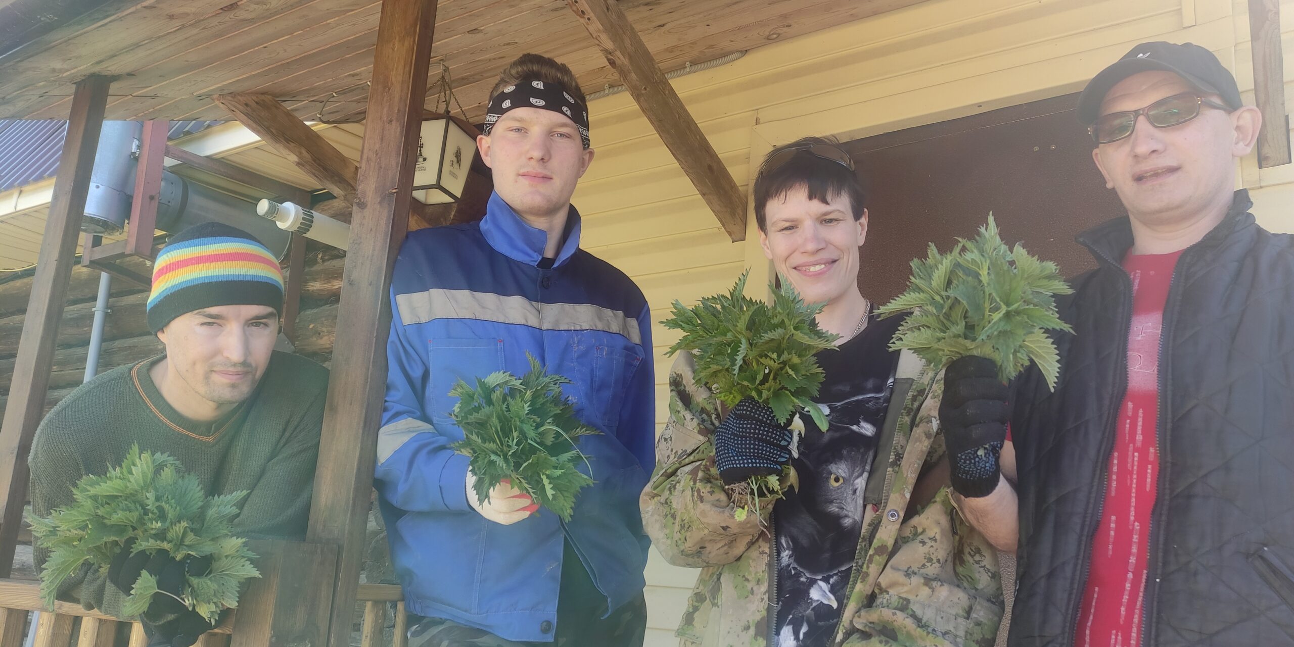 Кострома: что делать с крапивой