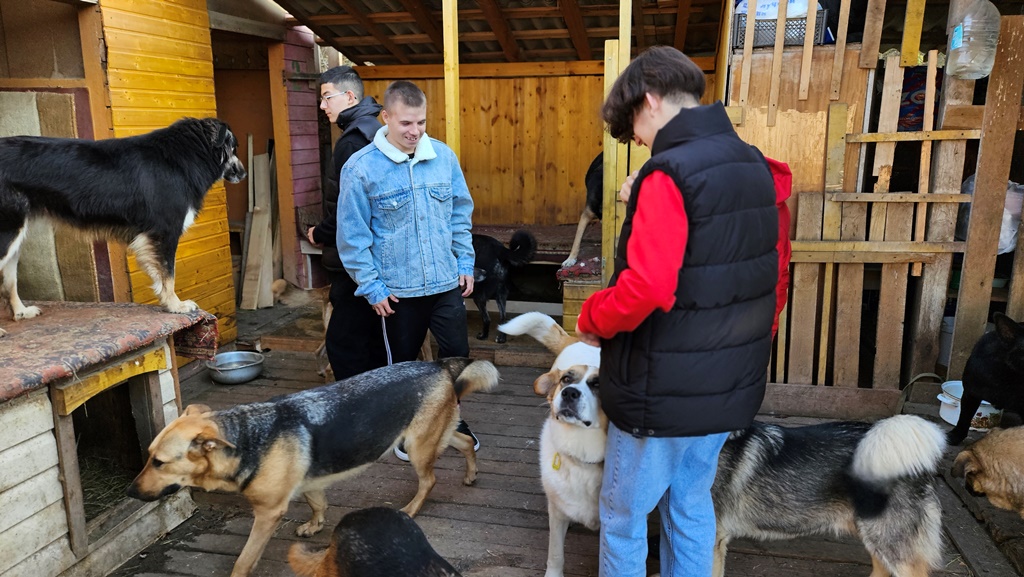 Владимир: собака на счастье