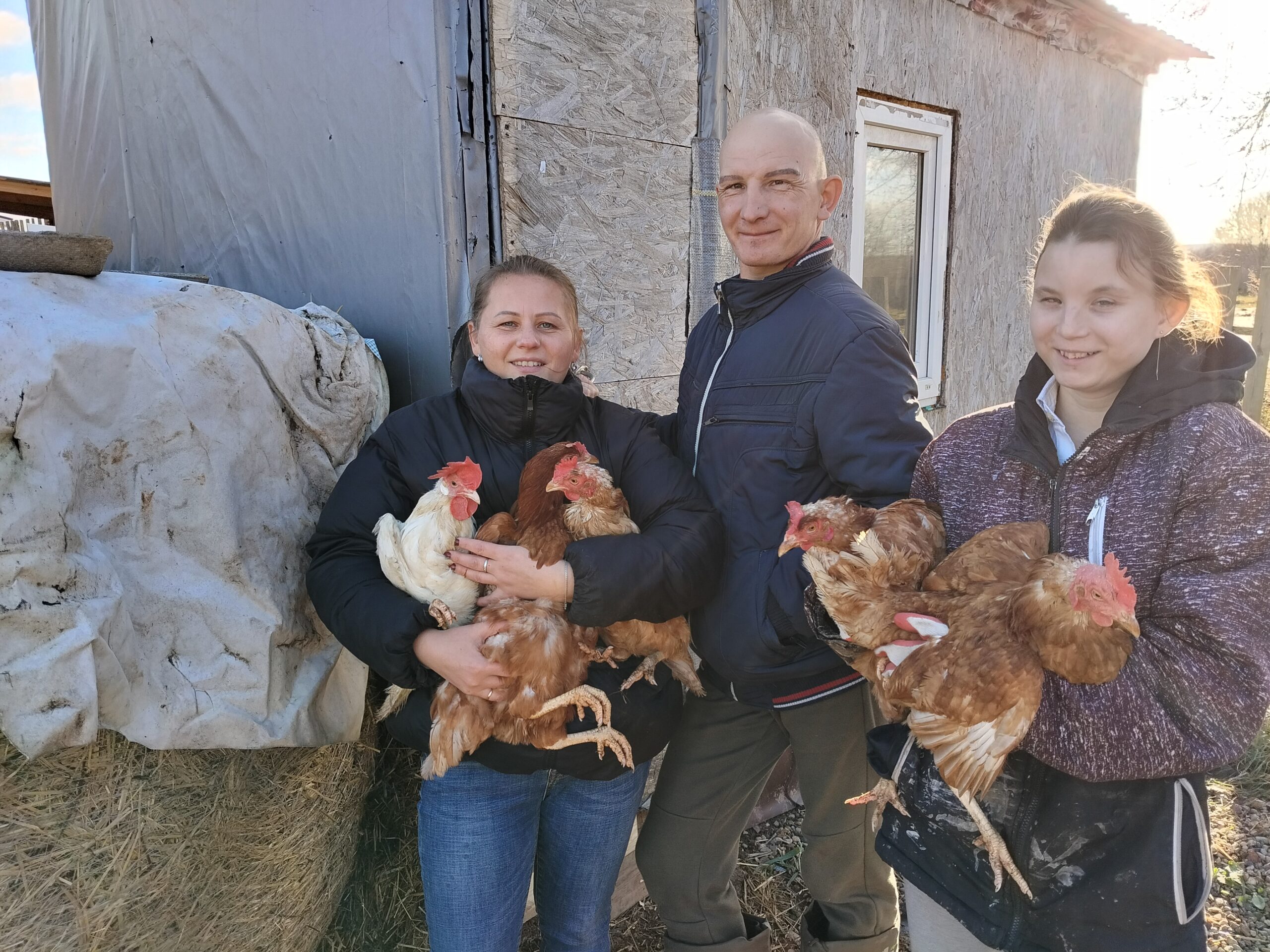 Кострома: день курицы