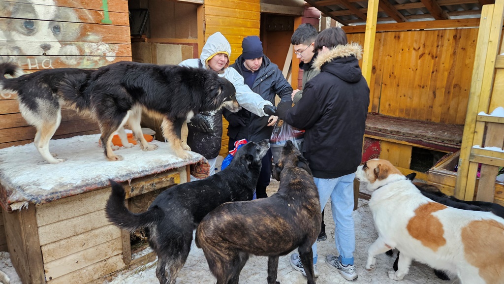 Владимир: клуб наставников